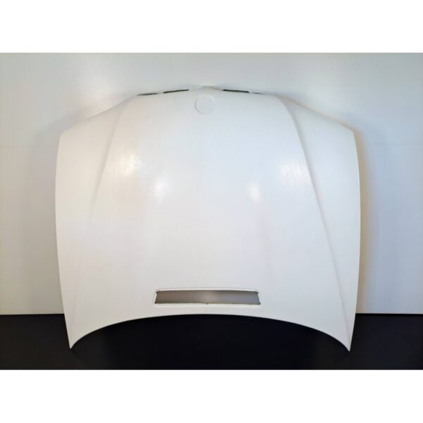 BMW E46 M3 Hood Coupe FL