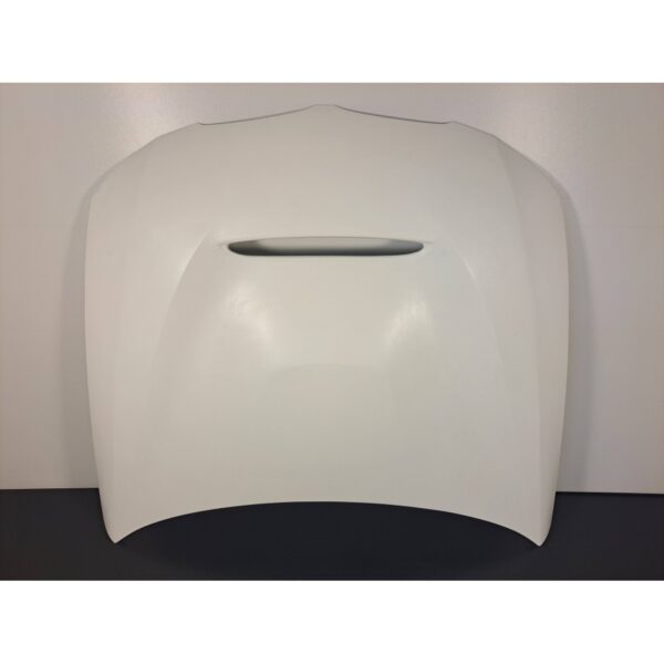 BMW E90/91 GTS Hood LCI