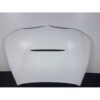 BMW E90/91 GTS Hood LCI