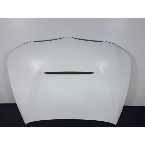 BMW E90/91 GTS Hood LCI