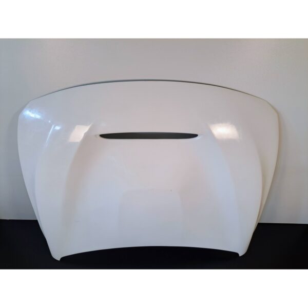 BMW F82/83 M4 GTS Hood