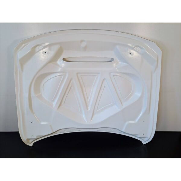 BMW F82/83 M4 GTS Hood