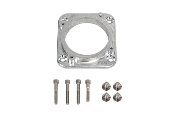 DBW Adapter Audi 4.2