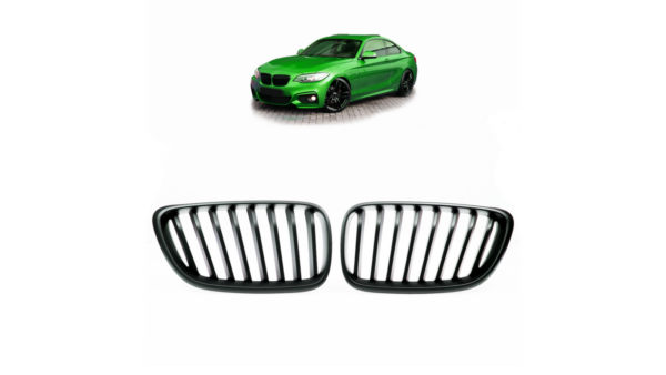 Iluvõre BMW 2 F22 F23 Single Line matt must