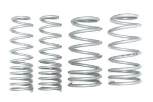 Lowering Springs -30 Cordoba Ibiza Polo 1.8, 2.0, TDI 94-02
