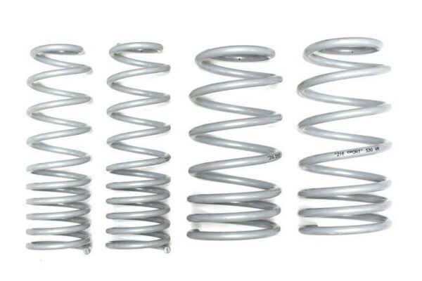 Lowering Springs -30 Cordoba Ibiza Polo 1.8, 2.0, TDI 94-02