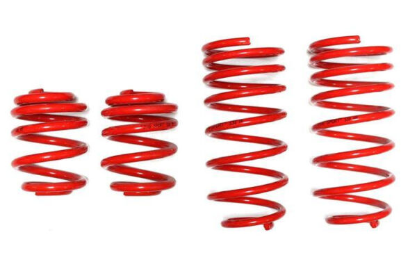 Lowering Springs -30 Seat Leon 4x4 1.8, 2.3, TDI