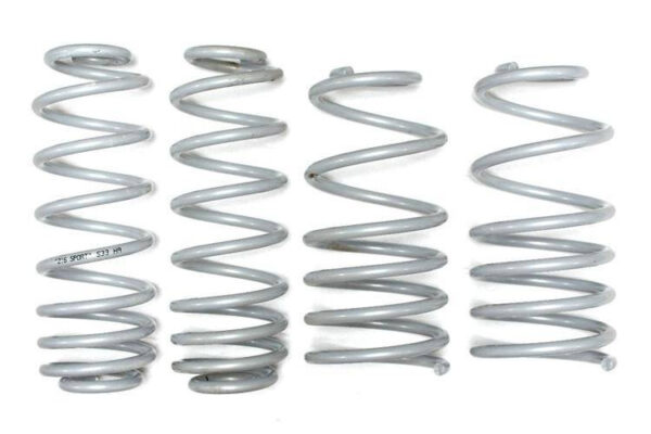 Lowering Springs -30 Seat Toledo II 1.4, 1.6 SDI 99-05