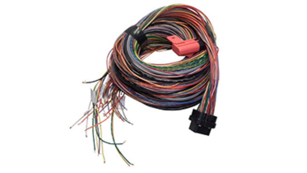 A Loom Long (5LA)