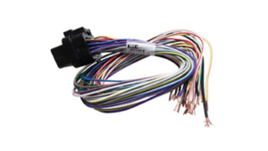 B Loom Short (0LB)