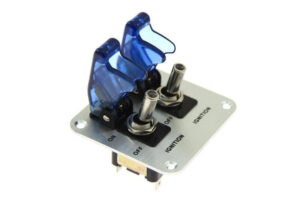 Double rally switch LED BLUE