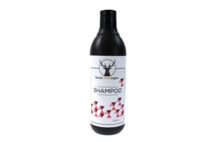 Daniel Washington Šampoon 500ml