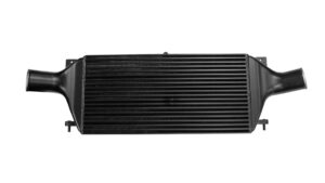 TurboWorks Intercooler Nissan R32 R33 R34 GTR 600x295x120 sisend 3,15"