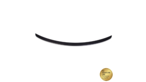 Spoiler Mercedes-Benz CLS C219 Lip matt must