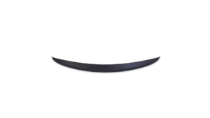 Spoiler Mercedes-Benz S W221 Lip matt must