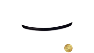 Spoiler Mercedes-Benz SLK R171 Lip matt must