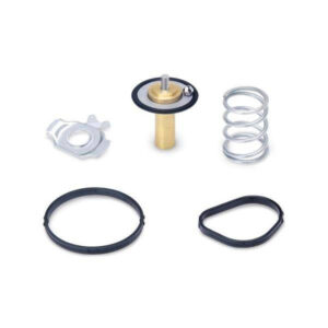 Unsupported UNICODE string Mishimoto termostaat Ford Fiesta ST 2014+ 71°C