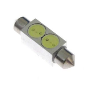 Pirn 39mm 2*0,5W HP valge