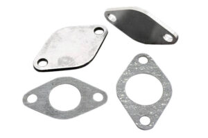 EGR Delete kit TDI